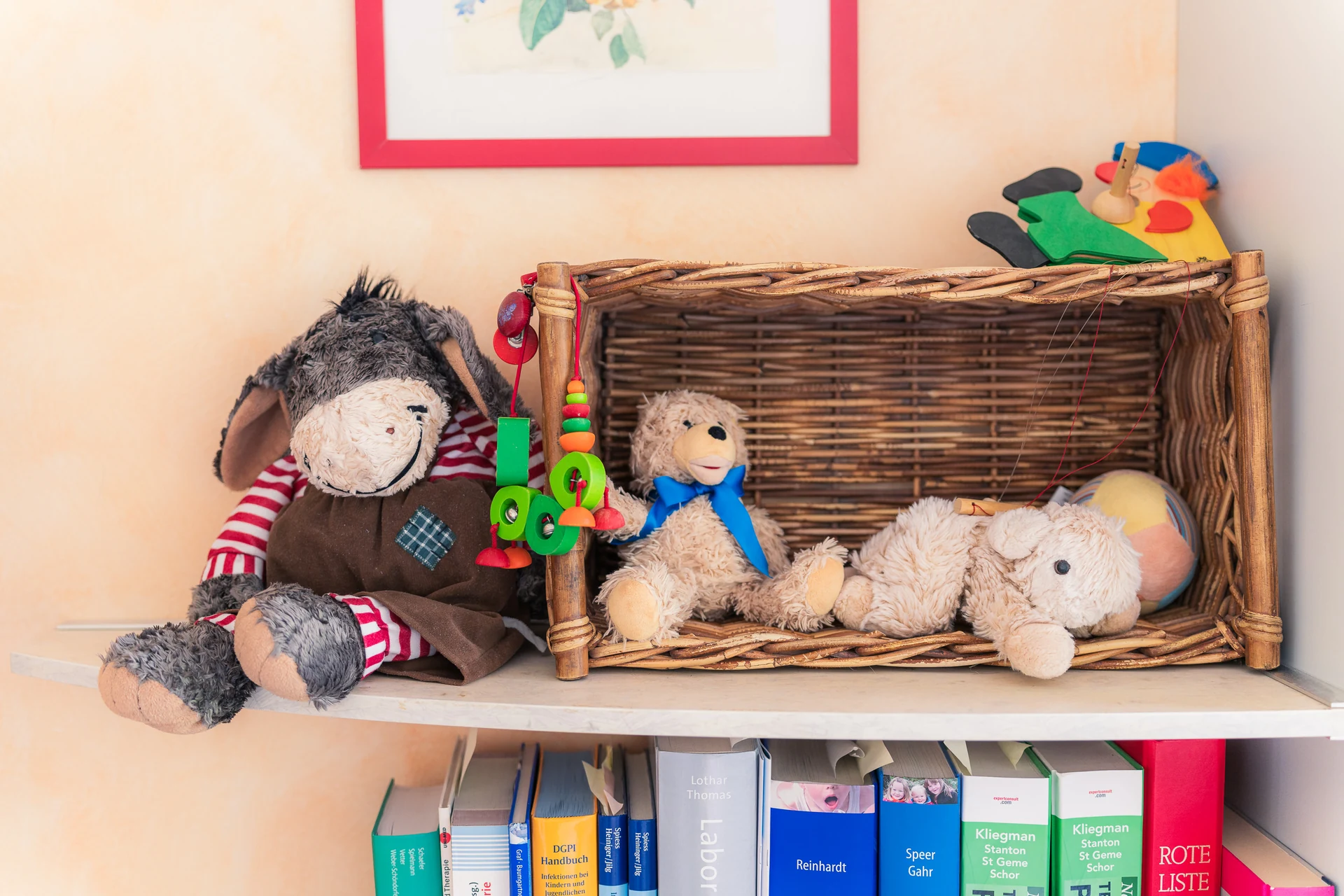 Kuscheltiere in einem Weidenkorb auf dem Regal über medizinischen Fachbüchern
