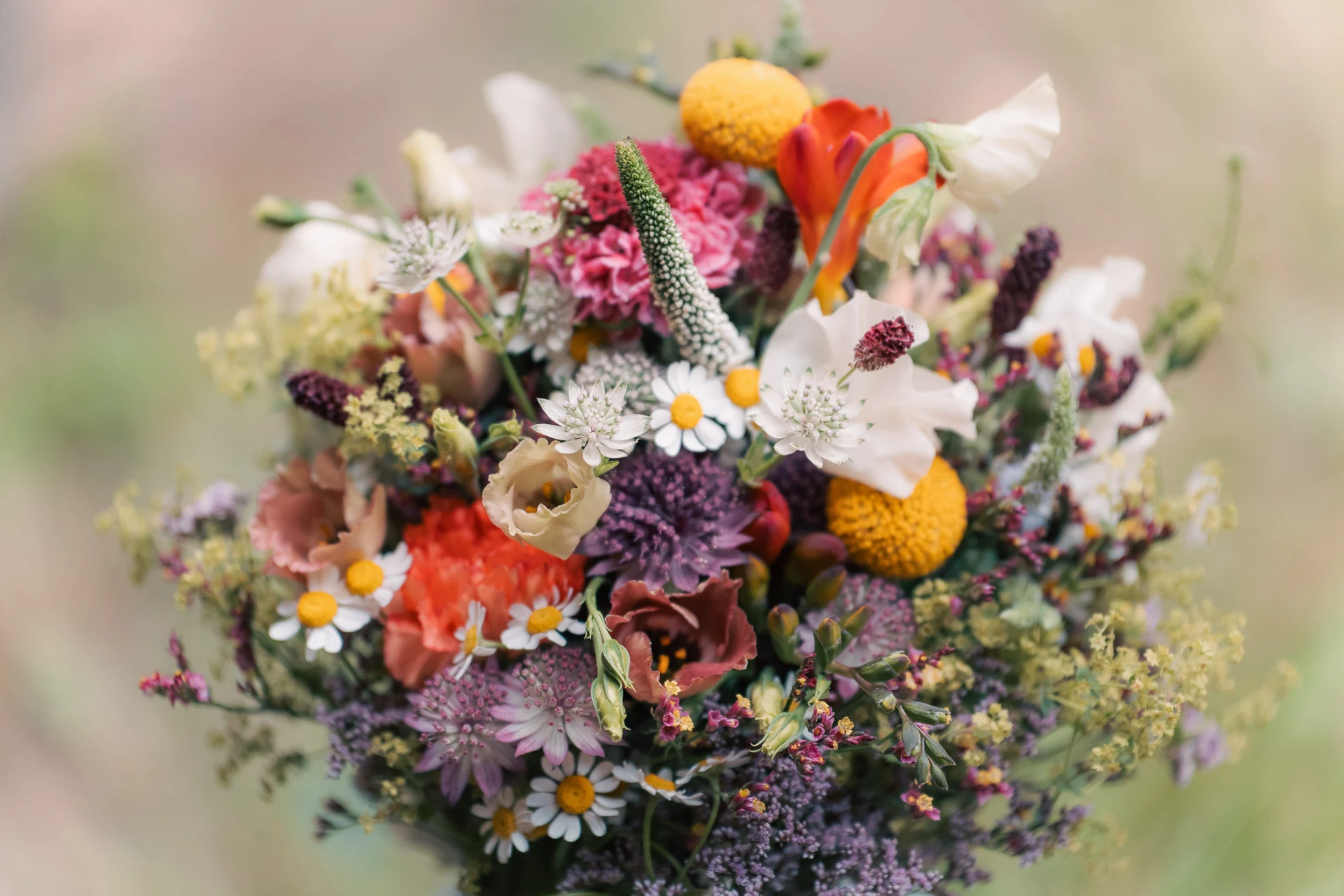 Bunter Brautstrauß aus Wiesenblumen, von oben